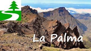 Die schönsten Wanderungen auf La Palma [upl. by Yznel]