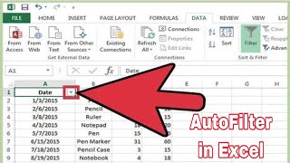 How to Use AutoFilter in MS Excel  create a filter use autofilter in excel [upl. by Darb]