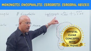 Difference Between Meningitis  Encephalitis  Cerebritis  Cerebral Abscess🩺 [upl. by Rutter]