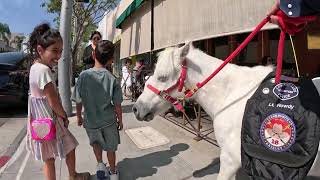 Lt Rowdy visiting Rodeo Drive 5 of 13 92124 [upl. by Pearlstein742]