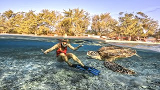 Snorkeling Around 3 Gili Island Lombok [upl. by Boardman881]