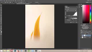 How to Invert Colors Using the Levels Sliders in Photoshop [upl. by Zach221]