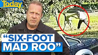 Man fights kangaroo for six minutes in Victoria  Today Show Australia [upl. by Ymer]