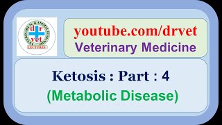 Bovine Ketosis 4 [upl. by Chapin]