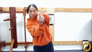 There Are 4 Basic Wrist Locks  The Wrist Is Very Easy To Break When You Know How  Kung Fu Training [upl. by Lamond]