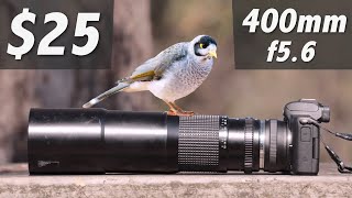 Canon M50  25 wildlife lens [upl. by Yoshiko]