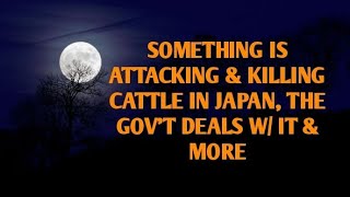 DOGMAN SOMETHING IS ATTACKING amp KILLING CATTLE IN JAPAN W VIDEO THE GOVT DEALT W IT amp MORE [upl. by Ecnerrot]