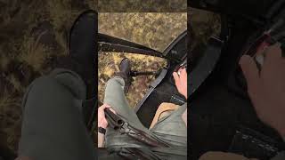 Using An Old GunHunting From Helicopter helicopterhunting [upl. by Alvord]