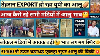 20924 ₹1400 से ऊपर आलू की धड़ाधड़ बिक्री🥔POTATO EXPORT NEWS लोकल मंडियों आवक बढ़ने से क्या असर [upl. by Noelle316]