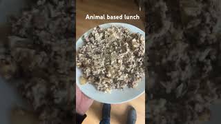 Halloumi and mince risotto animalbased [upl. by Anibur]