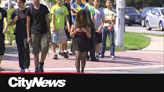 Students react to Albertas cellphone ban in classrooms [upl. by Enicul]