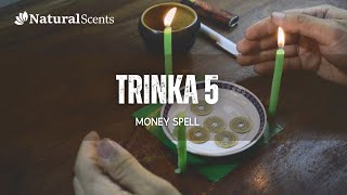 Trinka 5 Money Spell A Powerful Ritual for Abundance  Natural Scents [upl. by Thebault]