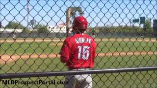 Mickey Moniak  Philadelphia Phillies prospect  2017 minor league spring training [upl. by Enyehc]