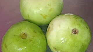 Tinda ki Sabji  Apple Gourd recipe [upl. by Avner]