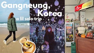 A Solo Trip to Gangneung Korea VLOG 💙 강릉 당일치기 [upl. by Anileva]