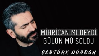 MİHRİCAN MI DEYDİ GÜLÜN MÜ SOLDU  ŞENTÜRK DÜNDAR [upl. by Iron]