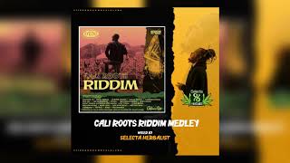 Cali Roots Riddim Mix  full  by SELECTA HERBALIST 2020 [upl. by Hayifas]