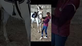 Bref mon 🐎 fait dressage  cheval poney équitation [upl. by Aral]