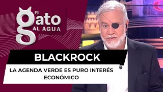 El paso atrás de BlackRock demuestra que la agenda verde es puro interés económico [upl. by Dusza556]