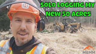 Logging Solo On My New 50 Acres Of Timber Land [upl. by Atirihs868]