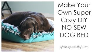 HOW TO MAKE A DIY NO SEW DOG BED [upl. by Zackariah107]