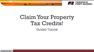 How to Claim Refundable Income Tax Credit on Property Taxes Paid to Schools [upl. by Aihsatsan]