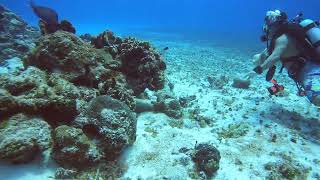 Cozumel SCUBA Diving [upl. by Hendrickson252]