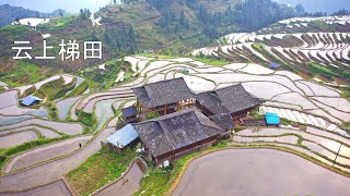 實拍最美梯田，盡在貴州簡直不要太美，梯田中間還有三戶人家The most beautiful terraces are in Guizhou [upl. by Adnoryt611]