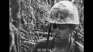 Ho Bo Woods Vietnam War 1960s  Film 1017413 [upl. by Fini]