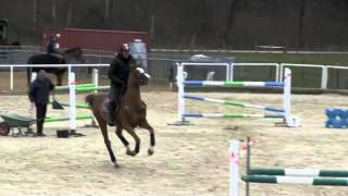 Philippe Putallaz Ouessant Entrainement Chavannes 2015 [upl. by Onaimad]