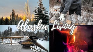 Alaska Living [upl. by Ennovyhs]