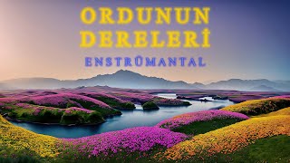 ORDUNUN DERELERİ  ENSTRÜMANTAL [upl. by Applegate]