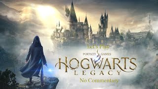 Hogwarts Legacy Playthrough Campaign No Commentary Part 53 [upl. by Drofwarc]