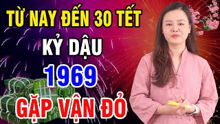 ☯ Kỷ Dậu 1969 Đón Vận May Từ Nay Đến 30 Tết Năm 2024 Thoát Nợ Tiền Về Như Nước [upl. by Onitrof]