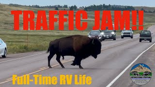 Full Time RV Life  Custer State Park  Jewel Cave  EP45 [upl. by Johen]