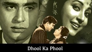 Dhool Ka Phool 1959 133365 Bollywood Centenary [upl. by Behn]