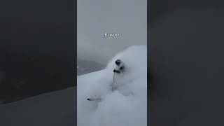 skiing adventure snow sport mountains hiking gopro mountain austria freestyle ski [upl. by Yanffit]