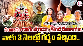 3 నెలల్లో గర్భం రావడం పక్కా Reddamma Konda Temple Facts  sumantvannamayyadistrict [upl. by Scales459]