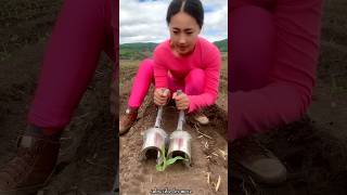 Satisfying Seedlings Planting Tools for Rural Farmer  Helpful Agricultural Tools shorts ytshorts [upl. by Roderigo]