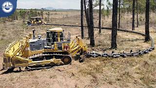 Clearing Wooded Land with Anchor Chain and Bulldozer [upl. by Varden516]