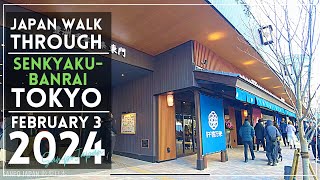 4K New Fish Market quotTOYOSU SENKYAKU BANRAIquot walk TOKYO February 3 2023  JAPAN WALK THROUGH [upl. by Norward810]