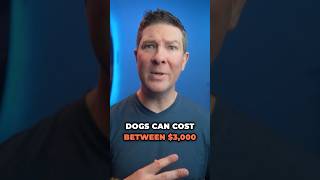 The Rising Costs of Designer Dogs pets [upl. by Piks837]