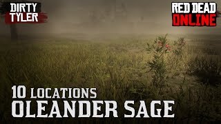 RDR2 Oleander Sage Online Locations for Daily Challenges Red Dead Online [upl. by Bernie107]