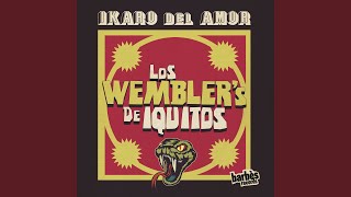 Dos Amores Meridian Brothers Remix [upl. by Aremat46]