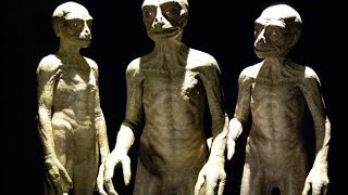 What you need to know about the ALIEN RACES visiting earth and living among us [upl. by Ayotnahs]