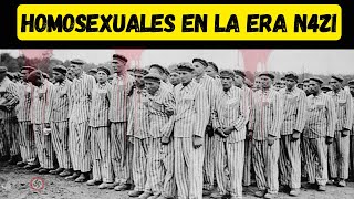 H0rrendos T0rtur0s a Homosexuales en la Era N4zi que Pocos Conocen [upl. by Tenay]