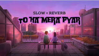 To ha mera pyar Slow  reverb songs newsong song [upl. by Weinstein789]