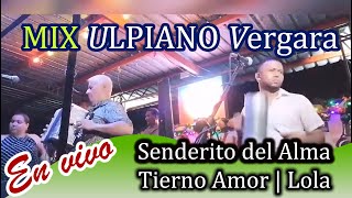 Mix con las mejores exitos de Ulpiano Vergara 2020 En Vivo Tierno Amor  Senderito de Amor y Lola [upl. by Isidro]