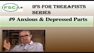 IFS for Therapists 9 Anxious and Depressed Parts [upl. by Tesil]