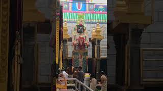 ஆஞ்சநேயருக்கு முத்தங்கி அலங்காரம் anjaneyartemple god [upl. by Janey]